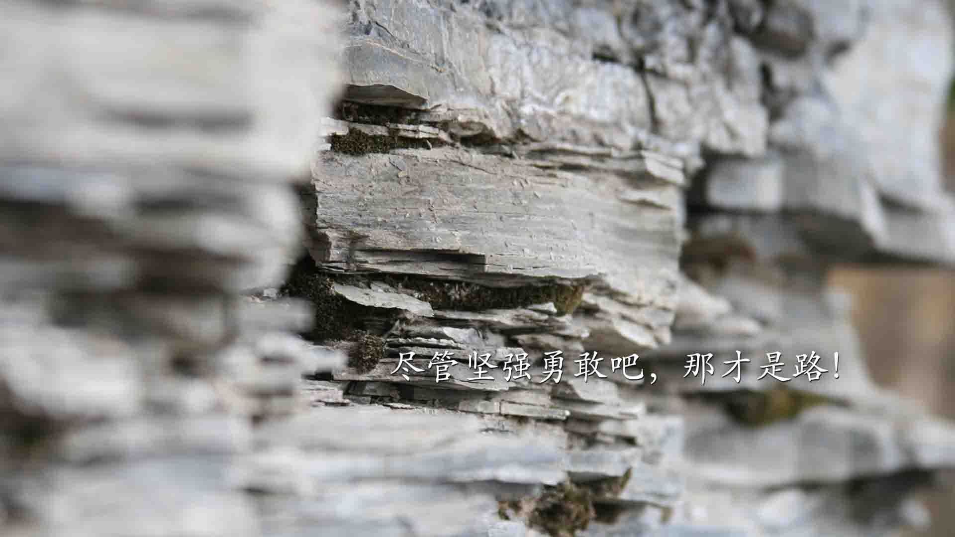 sport-双星闪耀，马里补时绝杀与劳塔罗的救赎之战