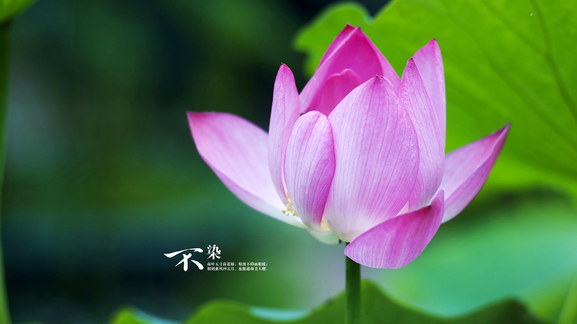 跨界共鸣,当电竞战场埃及力克AC米兰,梅西式稳定何以征服双界?